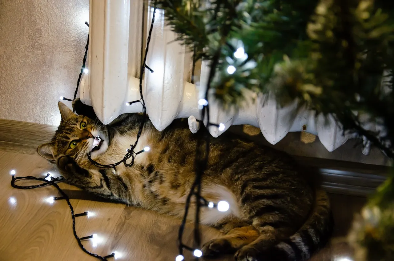 Dans quelles pièces installer une réglette LED?