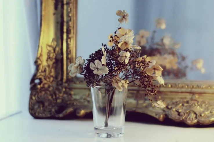 Le pouvoir des miroirs décoratifs dans une maison