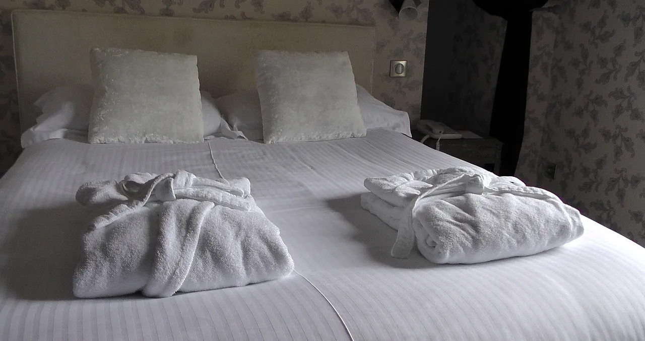 Ambiance zen : Conseils pour repenser votre chambre