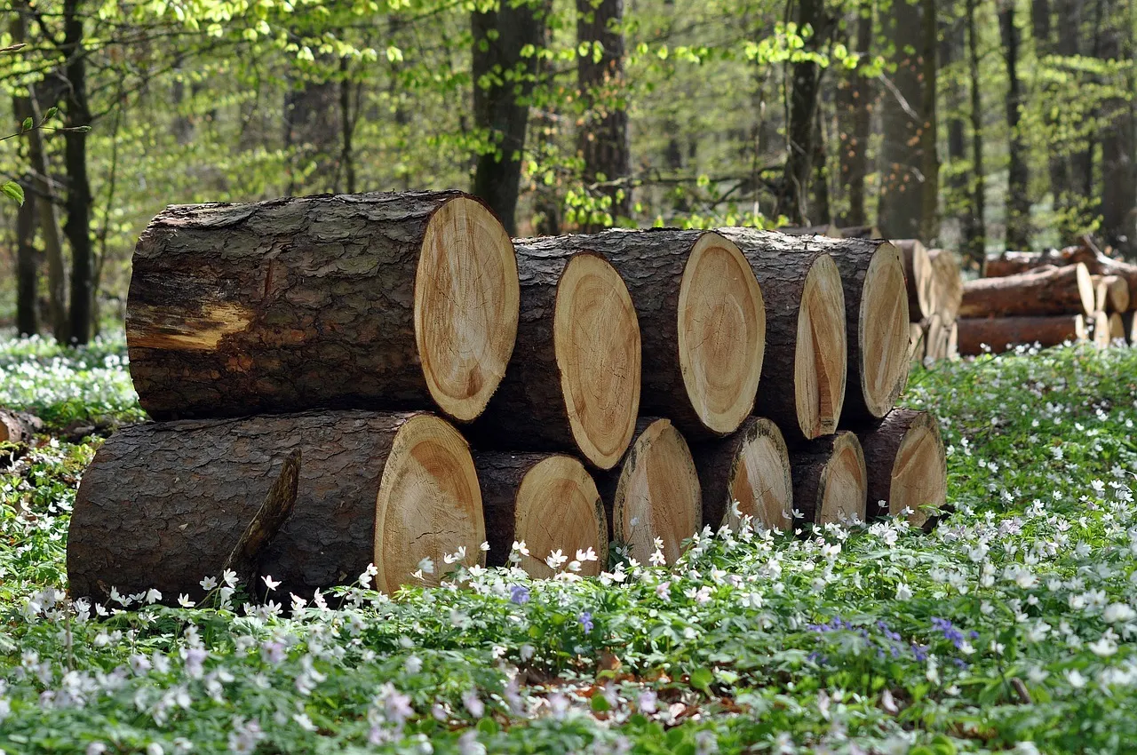 Bois de chauffage : conserver et stocker son bois de chauffage