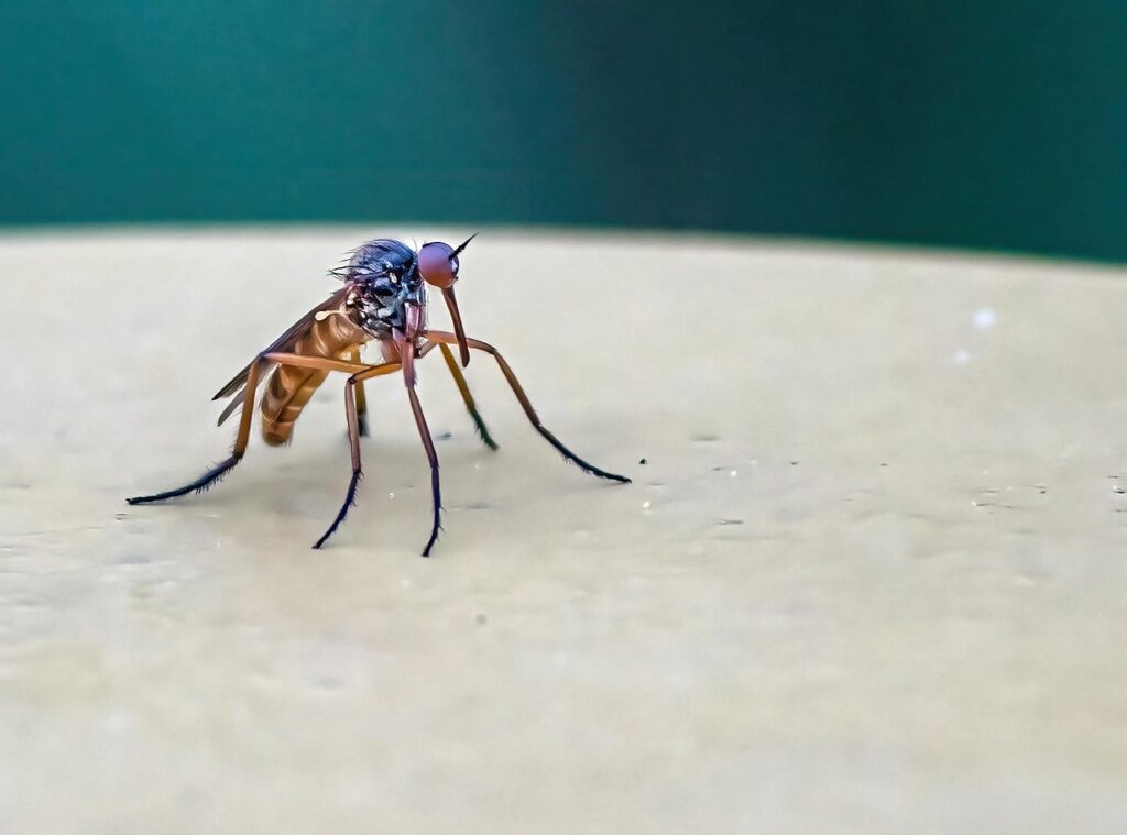 moustiquaire enroulable