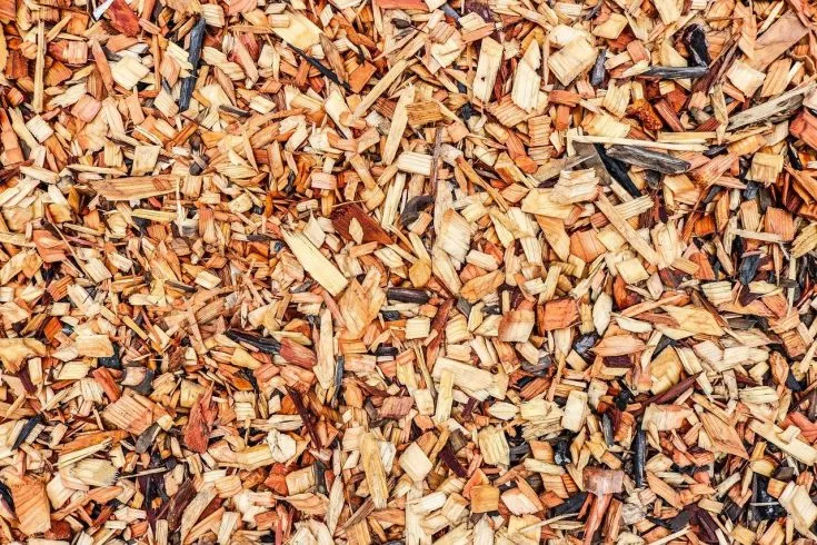 Utilisation d’une toile de paillage pour la réalisation d’un bon jardin