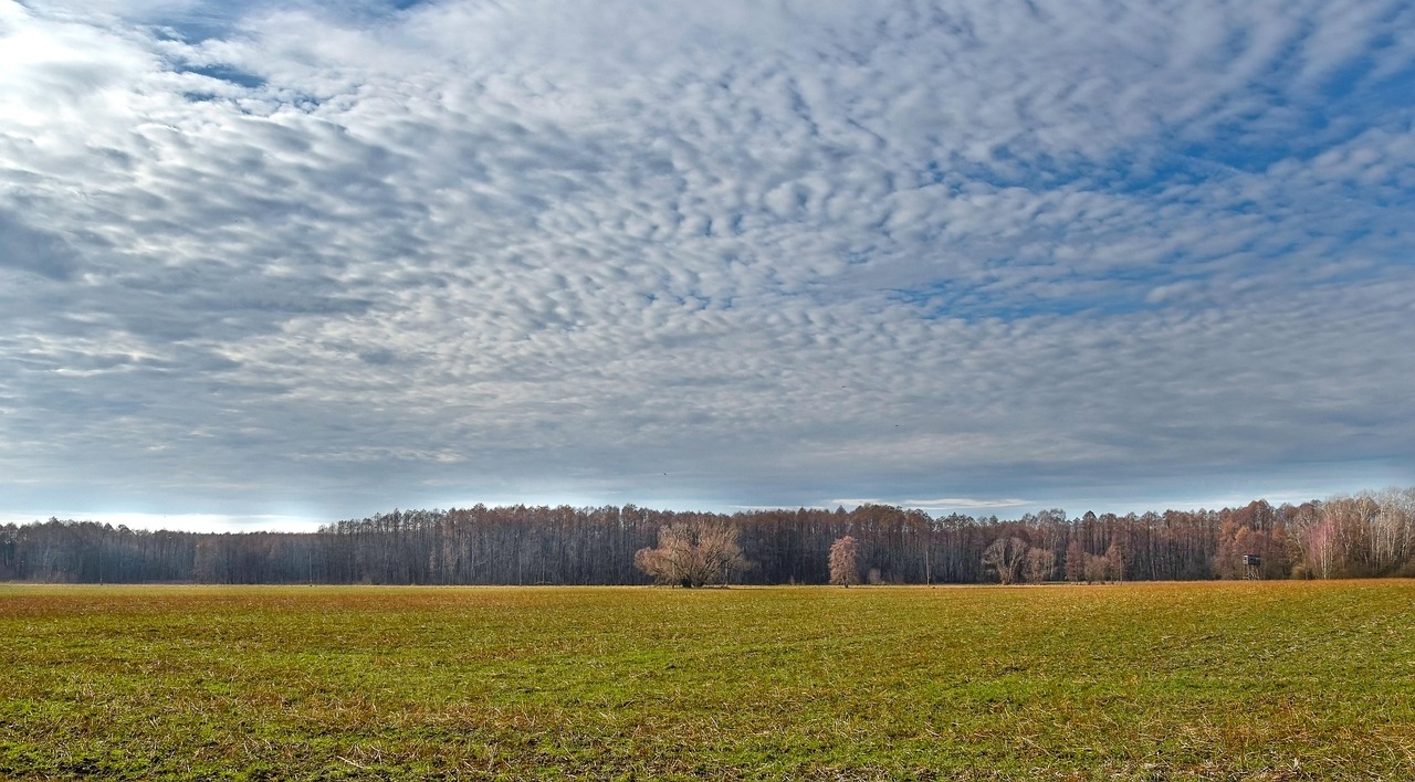 Guide pratique pour l'achat d'un terrain viabilisé : conseils et aspects légaux