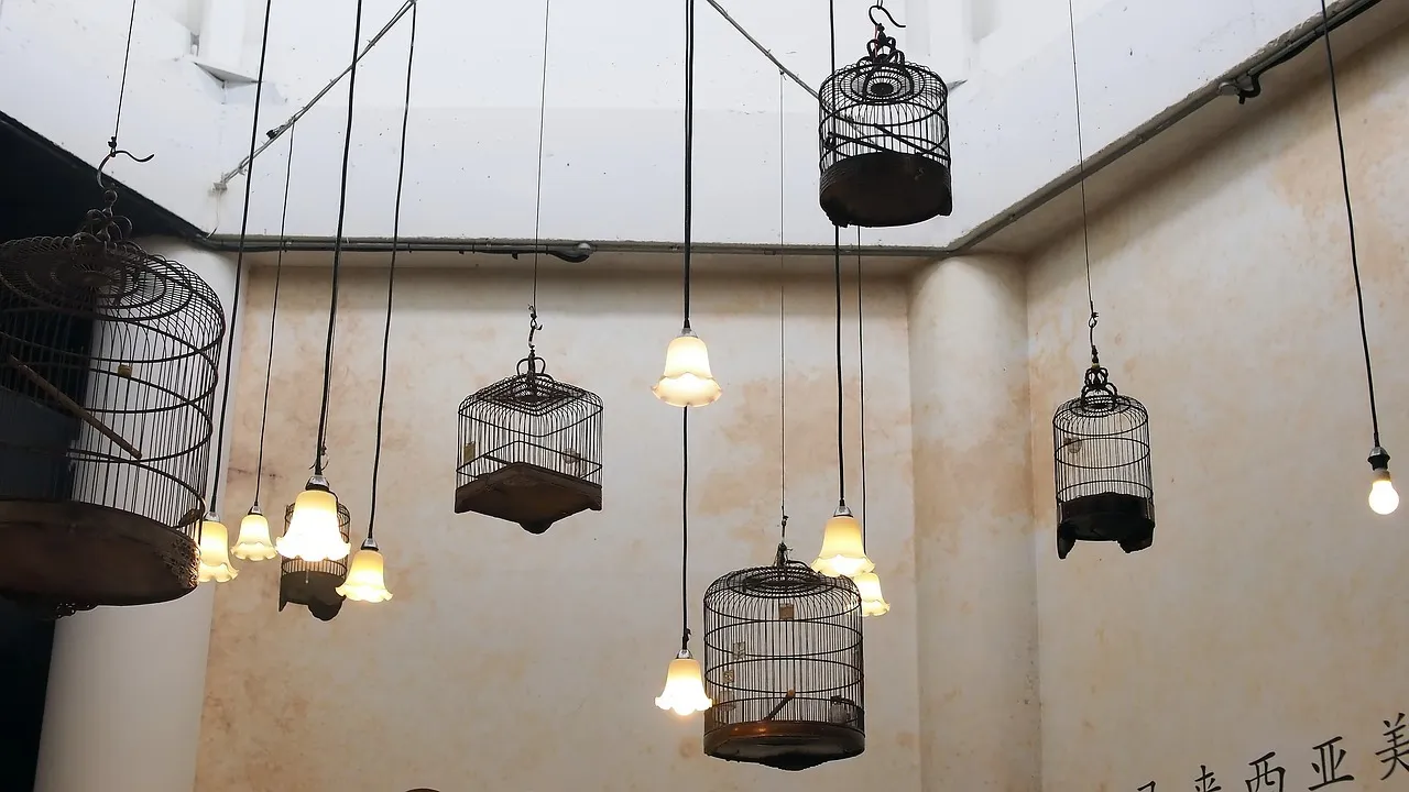 Lampe à cage suspendue à partir d’une lampe à brancher et d’un support en bois !