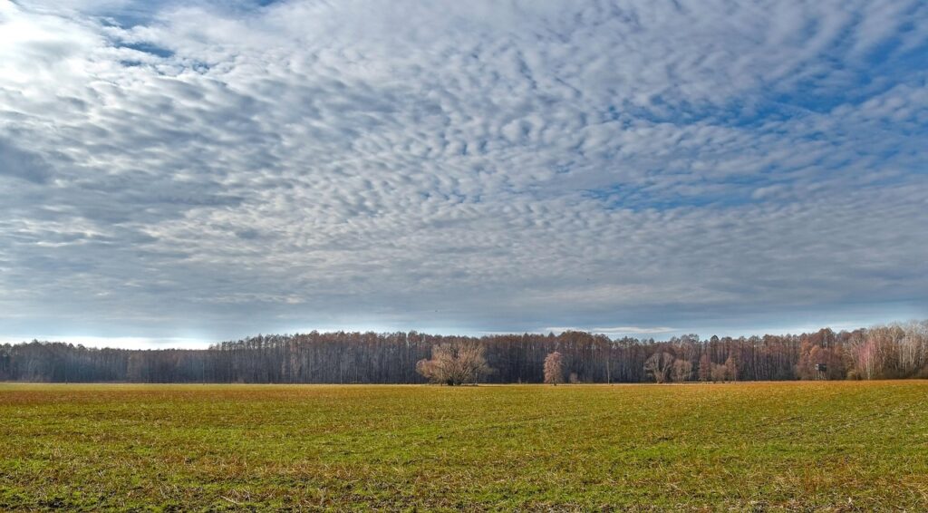 Guide pratique pour l'achat d'un terrain viabilisé : conseils et aspects légaux