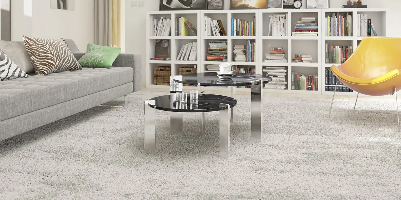 Nettoyage de tapis Shaggy : astuces pour conserver la douceur et la clarté de votre tapis