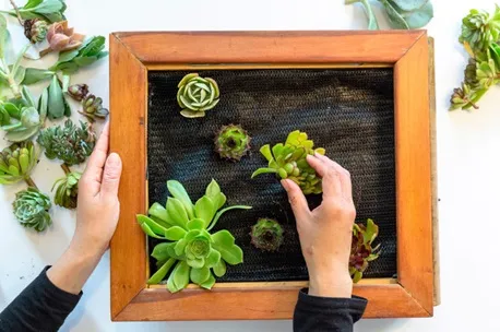 création tableau végétal