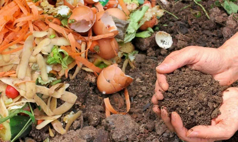 4 façons de réduire les déchets