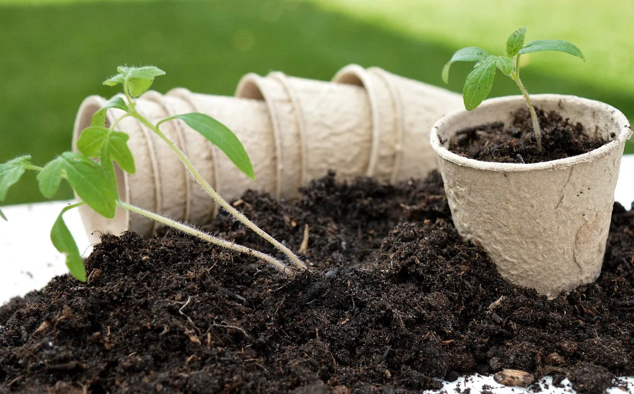 Comment disposer des pots sur une terrasse ?