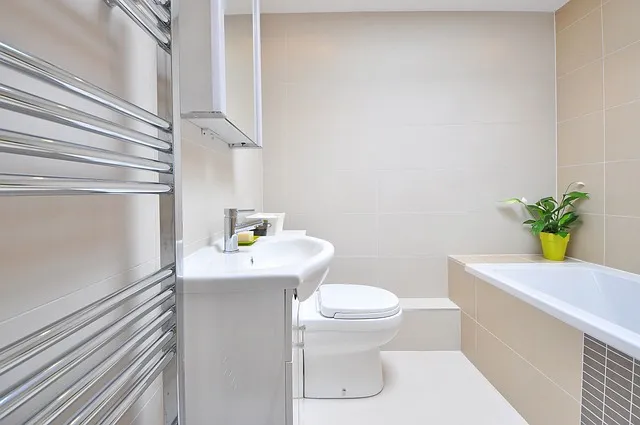 Une salle de bain moderne : lignes épurées et design minimaliste
