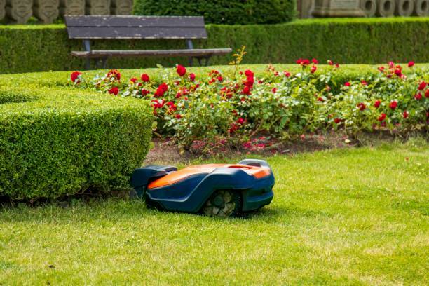 achat robot tondeuse tonte jardin surface à tondre 
