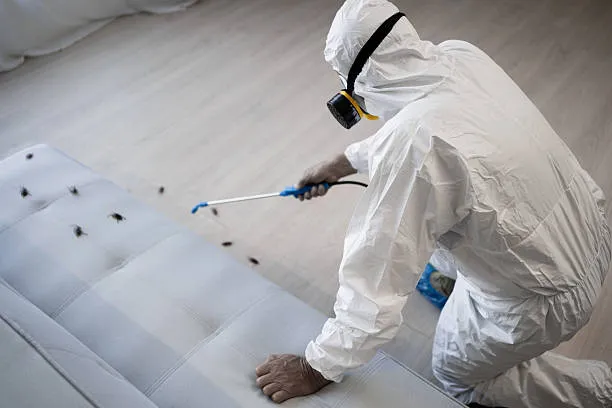 professionnel désinsectisation Orléans