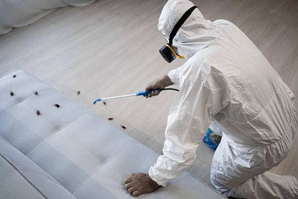 professionnel désinsectisation Orléans