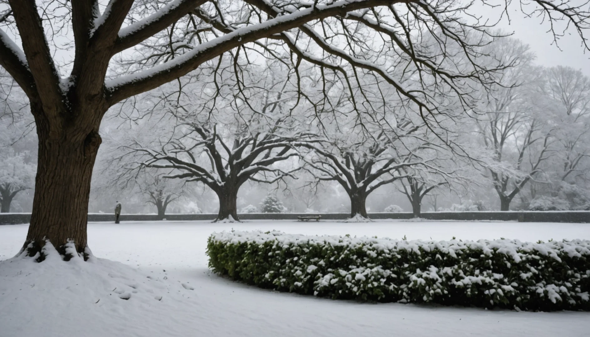 arbre neige d avril