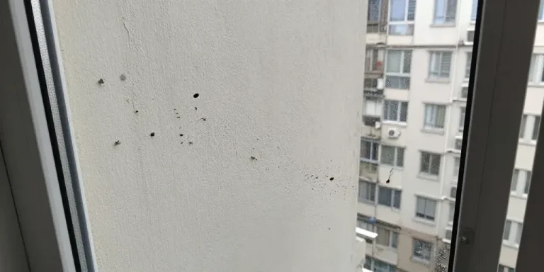 que faire contre les cafards dans un appartement